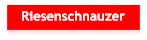 Riesenschnauzer