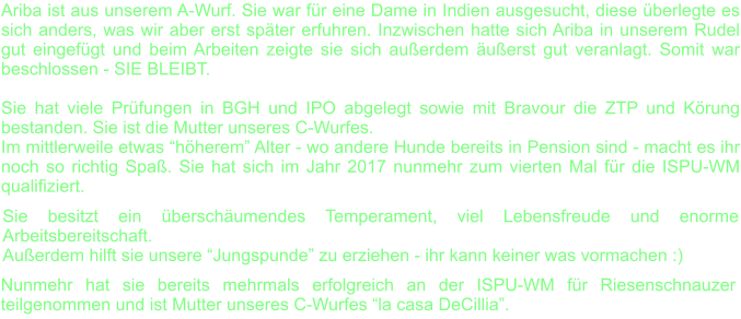 Ariba ist aus unserem A-Wurf. Sie war fr eine Dame in Indien ausgesucht, diese berlegte es sich anders, was wir aber erst spter erfuhren. Inzwischen hatte sich Ariba in unserem Rudel gut eingefgt und beim Arbeiten zeigte sie sich auerdem uerst gut veranlagt. Somit war beschlossen - SIE BLEIBT.  Sie hat viele Prfungen in BGH und IPO abgelegt sowie mit Bravour die ZTP und Krung bestanden. Sie ist die Mutter unseres C-Wurfes. Im mittlerweile etwas hherem Alter - wo andere Hunde bereits in Pension sind - macht es ihr noch so richtig Spa. Sie hat sich im Jahr 2017 nunmehr zum vierten Mal fr die ISPU-WM qualifiziert.    Sie besitzt ein berschumendes Temperament, viel Lebensfreude und enorme Arbeitsbereitschaft. Auerdem hilft sie unsere Jungspunde zu erziehen - ihr kann keiner was vormachen :) Nunmehr hat sie bereits mehrmals erfolgreich an der ISPU-WM fr Riesenschnauzer teilgenommen und ist Mutter unseres C-Wurfes la casa DeCillia.